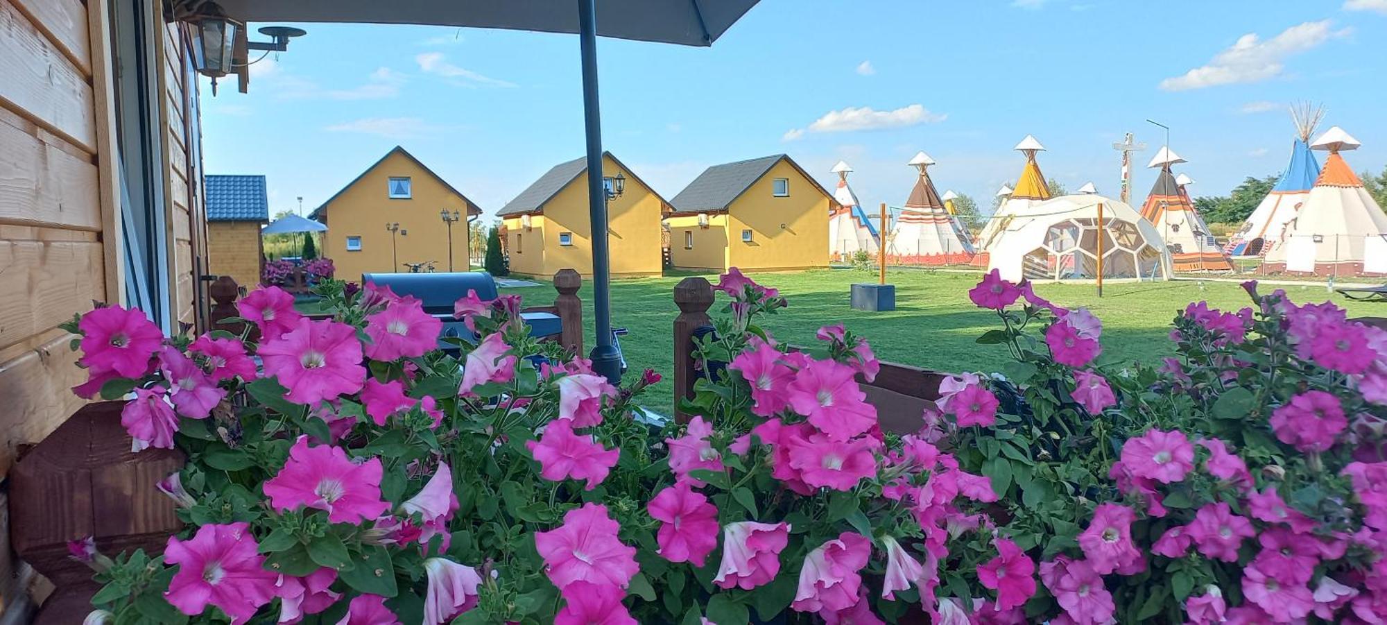 Holiday home Grabska Osada Sun House - Caloroczne Ogrzewane